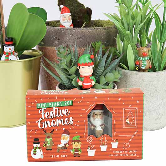 Festive Gnome Plant Markers